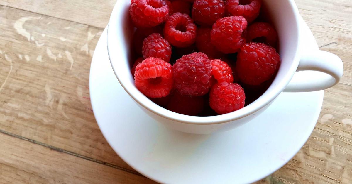 Foraging Meets the Modern Dispensary: A Wild Edibles Perspective on Finding Cannabis Locally