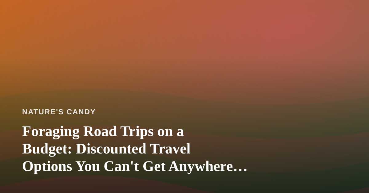 Foraging Road Trips on a Budget: Discounted Travel Options You Can’t Get Anywhere Else