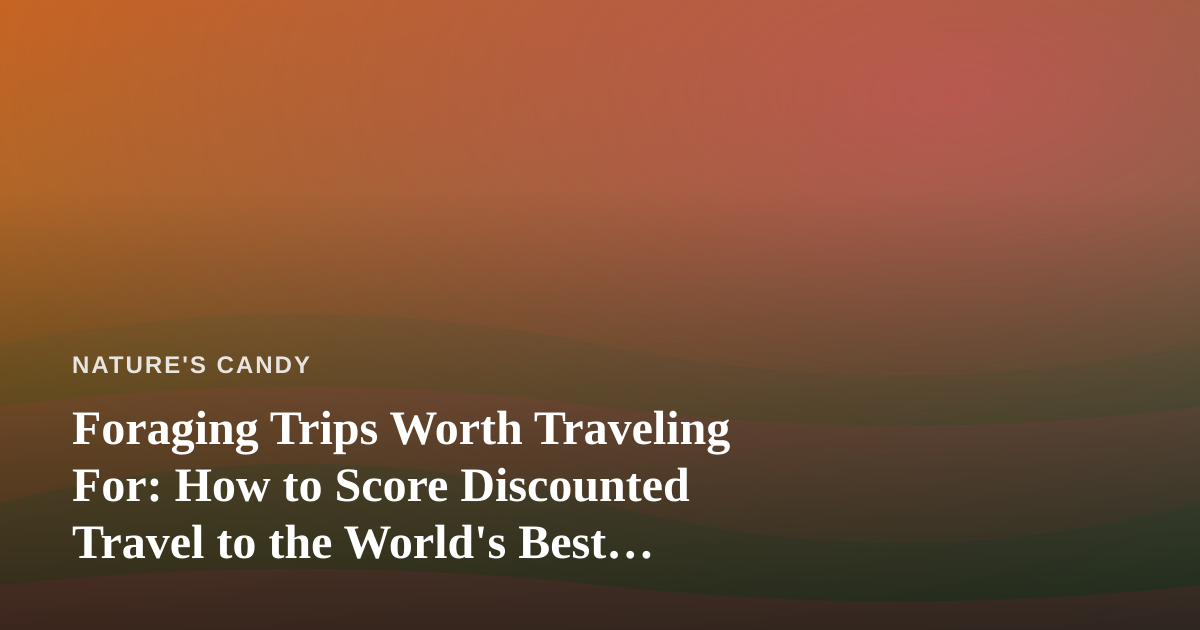 Foraging Trips Worth Traveling For: How to Score Discounted Travel to the World’s Best Wild Edible Destinations