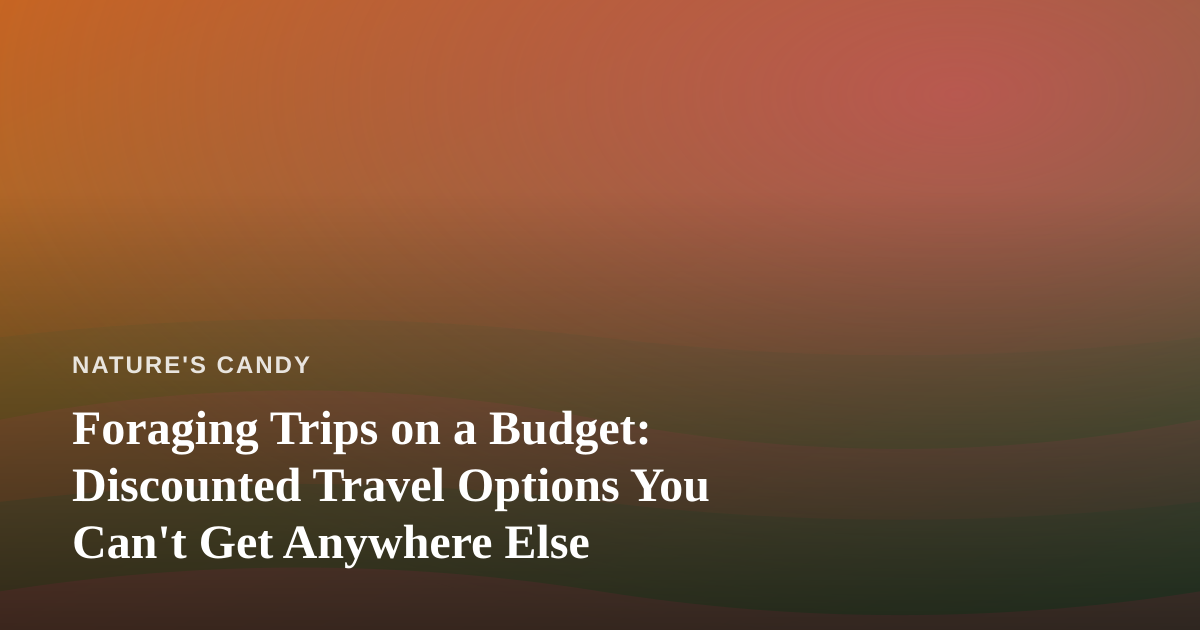 Foraging Trips on a Budget: Discounted Travel Options You Can’t Get Anywhere Else