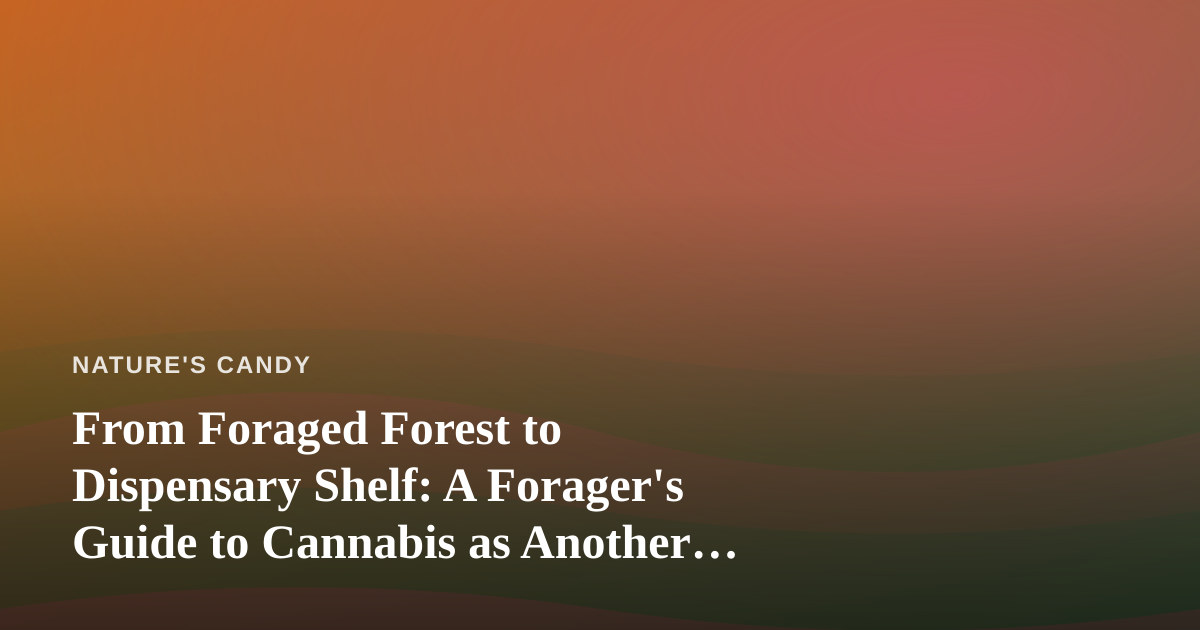 From Foraged Forest to Dispensary Shelf: A Forager’s Guide to Cannabis as Another Wild-Adjacent Plant