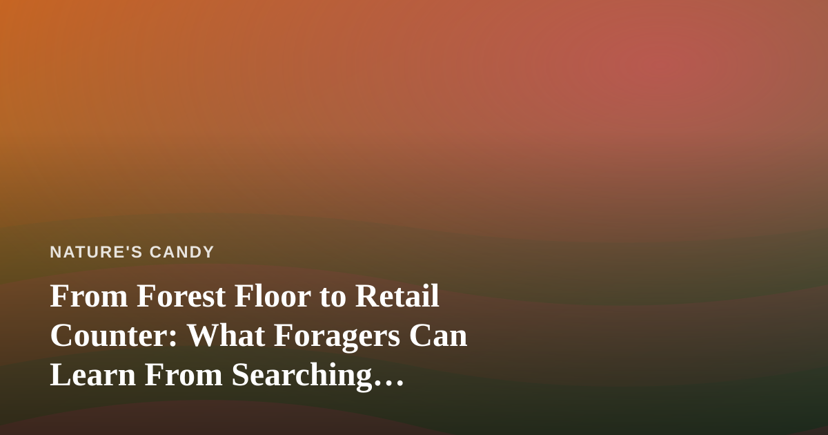 From Forest Floor to Retail Counter: What Foragers Can Learn From Searching “Dispensary Near Me”