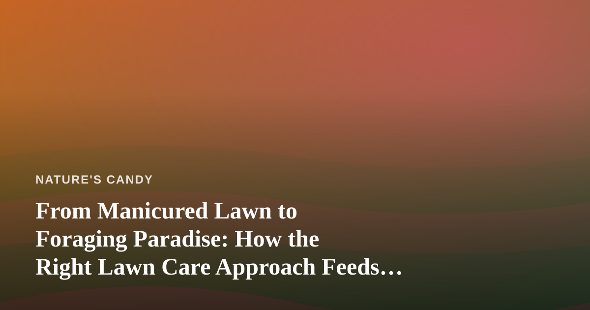 From Manicured Lawn to Foraging Paradise: How the Right Lawn Care Approach Feeds Both Beauty and Wild Edibles
