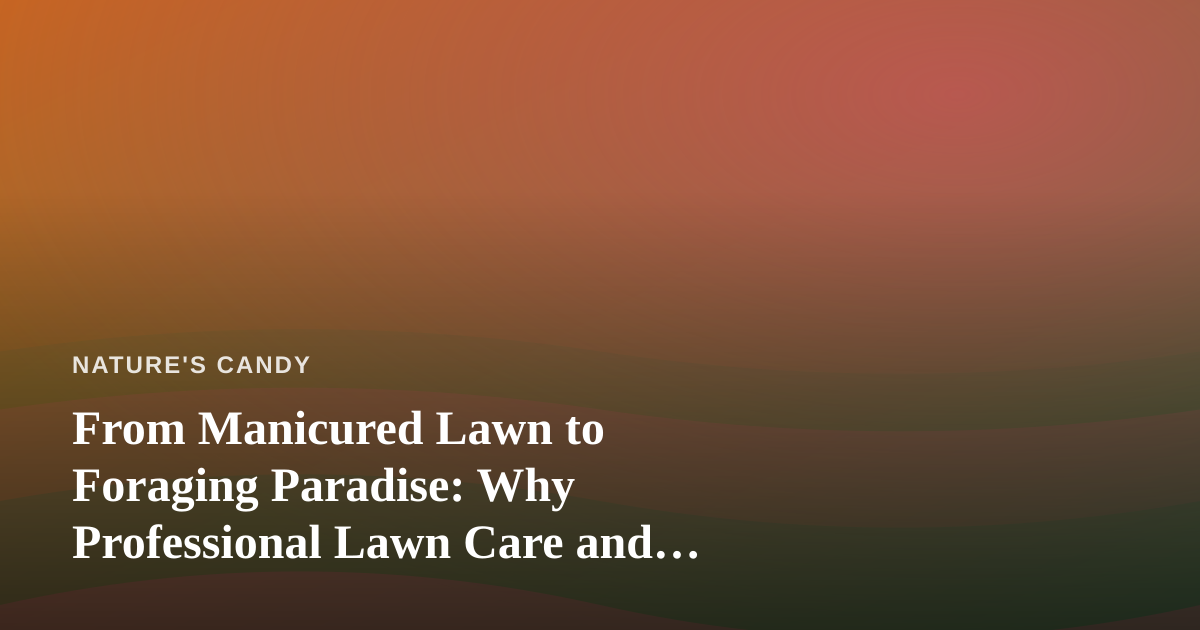 From Manicured Lawn to Foraging Paradise: Why Professional Lawn Care and Wild Edibles Belong Together