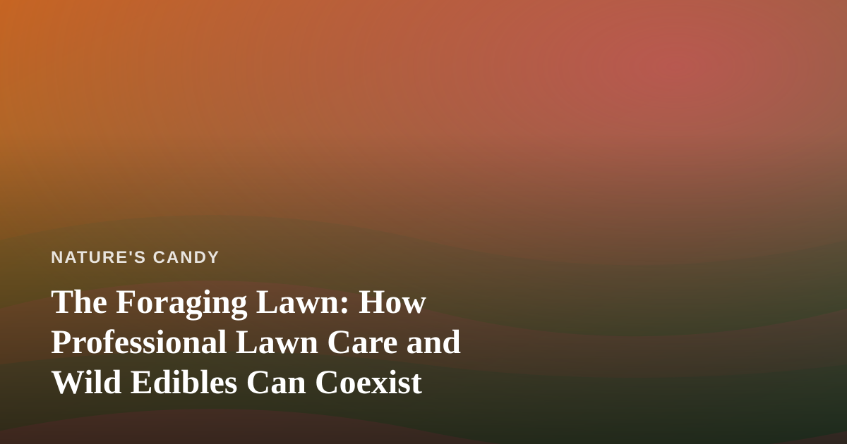 The Foraging Lawn: How Professional Lawn Care and Wild Edibles Can Coexist