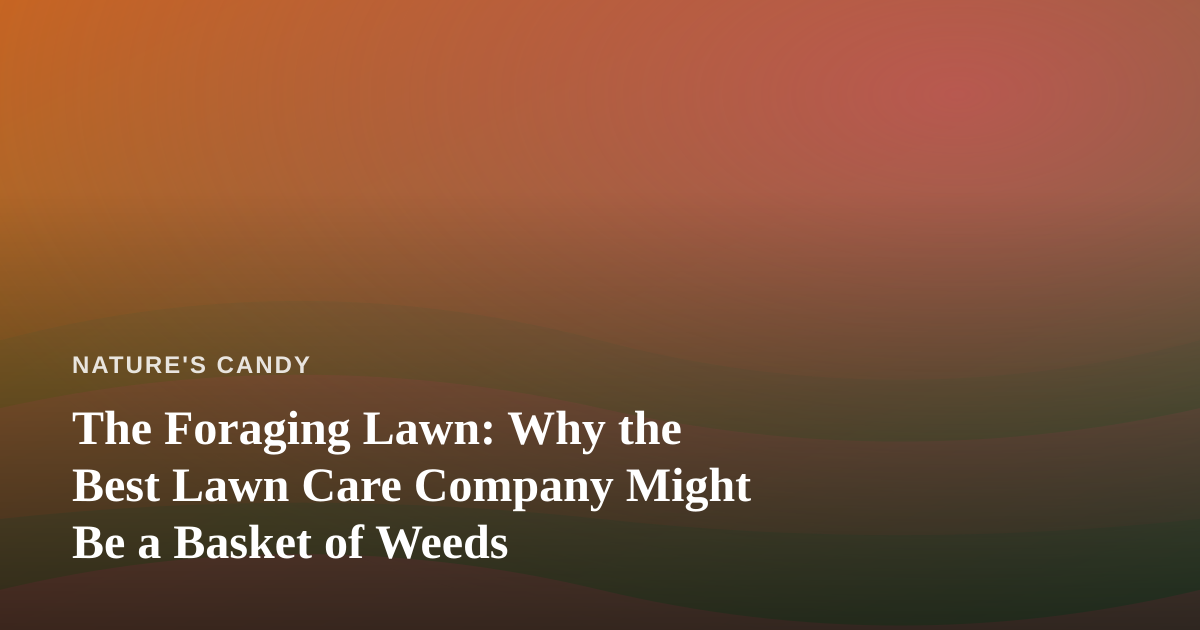 The Foraging Lawn: Why the Best Lawn Care Company Might Be a Basket of Weeds
