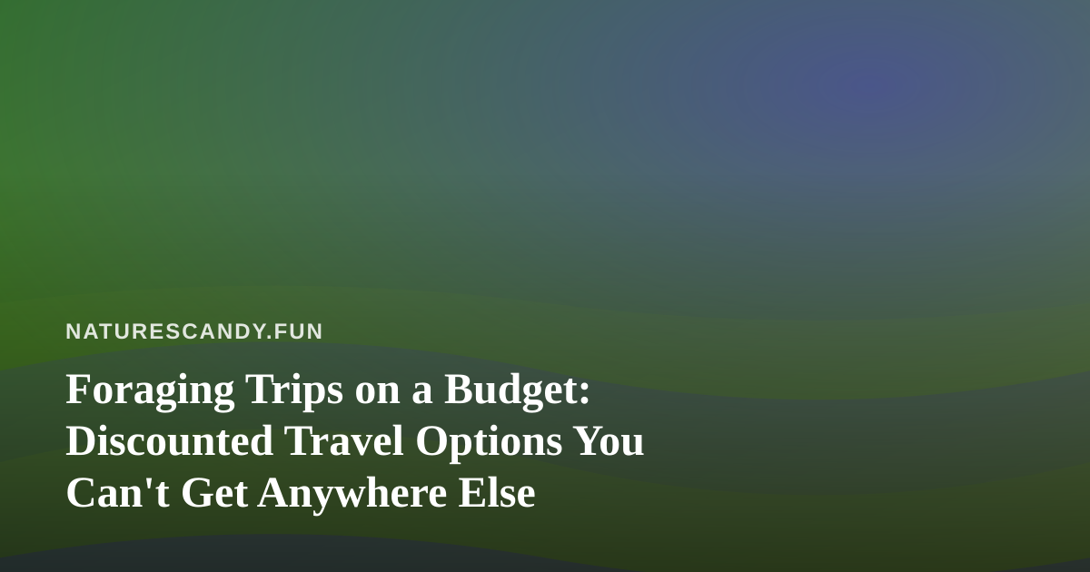 Foraging Trips on a Budget: Discounted Travel Options You Can’t Get Anywhere Else