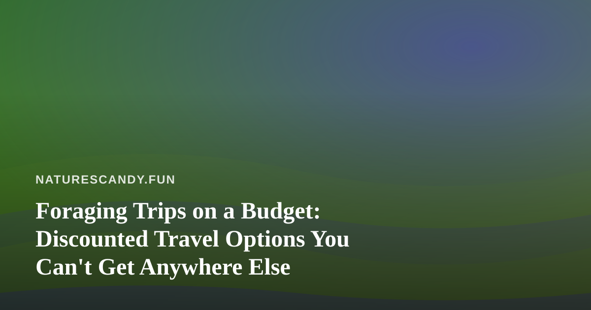 Foraging Trips on a Budget: Discounted Travel Options You Can’t Get Anywhere Else