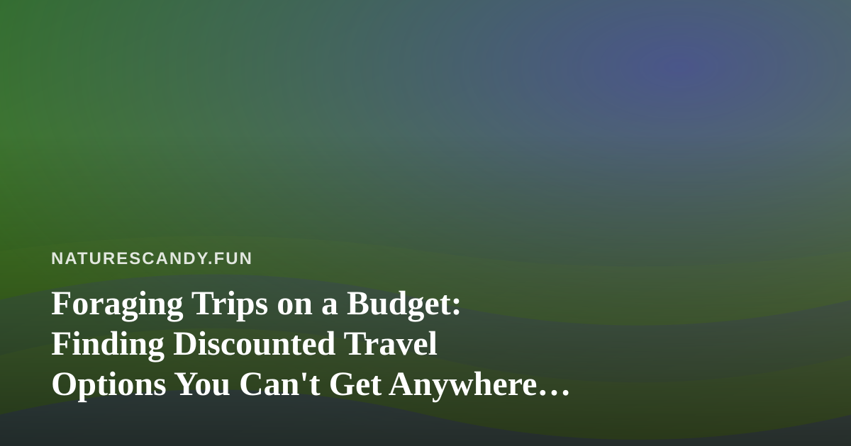 Foraging Trips on a Budget: Finding Discounted Travel Options You Can’t Get Anywhere Else