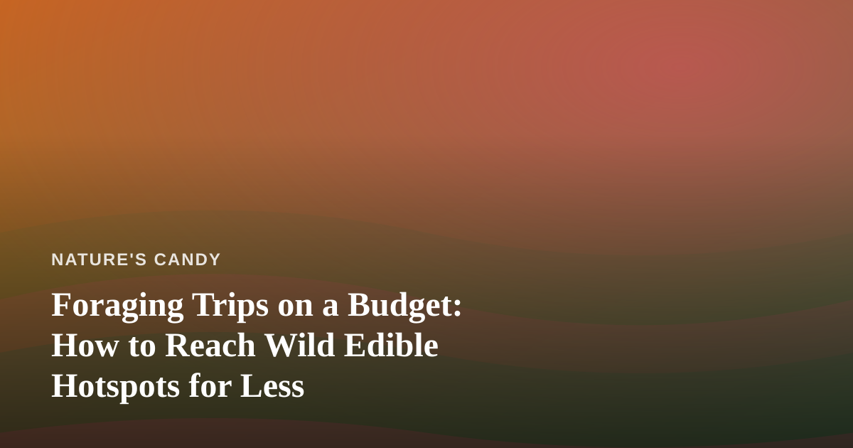 Foraging Trips on a Budget: How to Reach Wild Edible Hotspots for Less