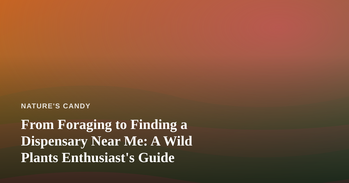 From Foraging to Finding a Dispensary Near Me: A Wild Plants Enthusiast’s Guide