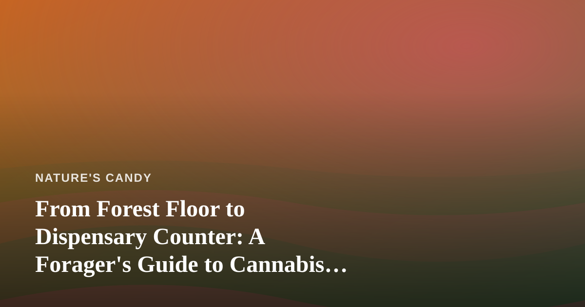 From Forest Floor to Dispensary Counter: A Forager’s Guide to Cannabis, Plant ID, and Wild Botanical Sensibility