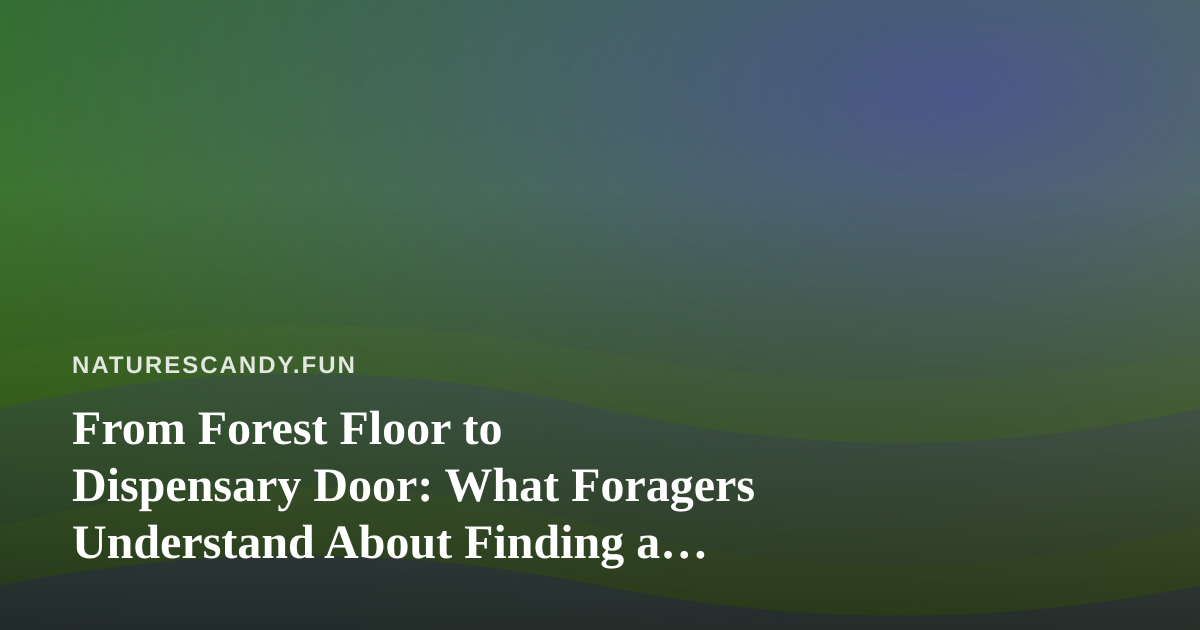 From Forest Floor to Dispensary Door: What Foragers Understand About Finding a Great Local Cannabis Shop