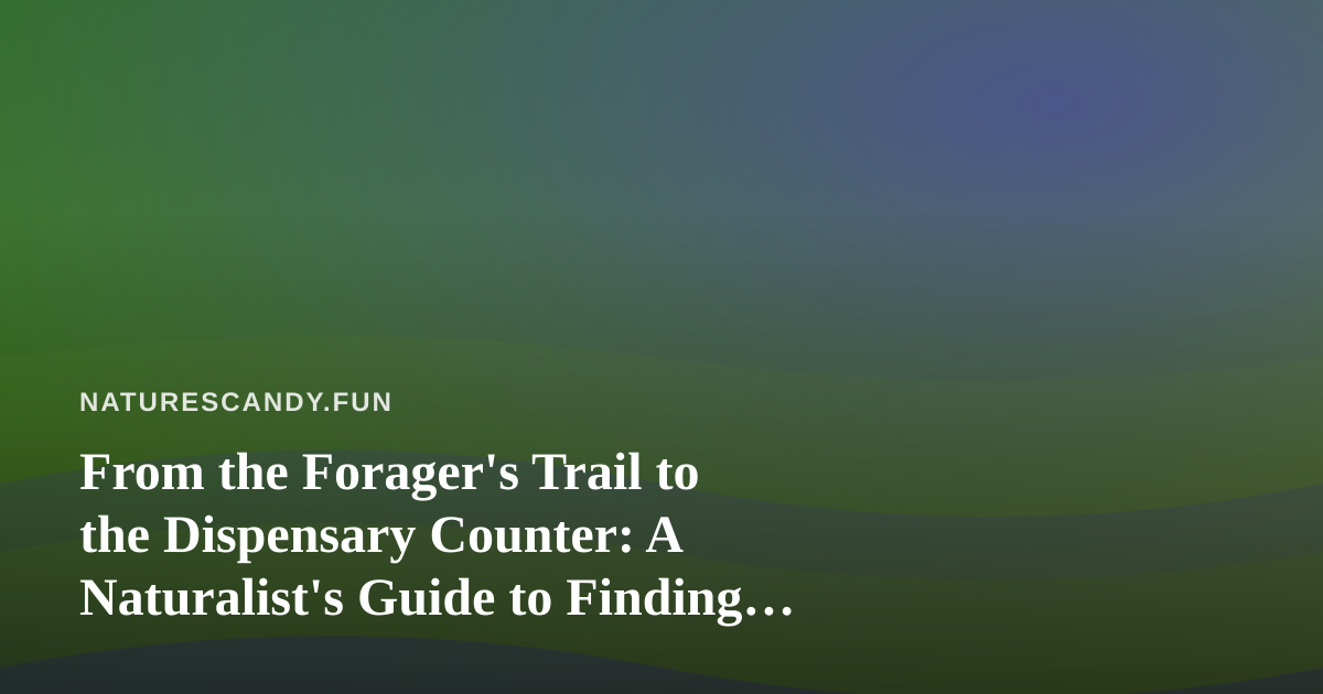 From the Forager’s Trail to the Dispensary Counter: A Naturalist’s Guide to Finding Cannabis Nearby