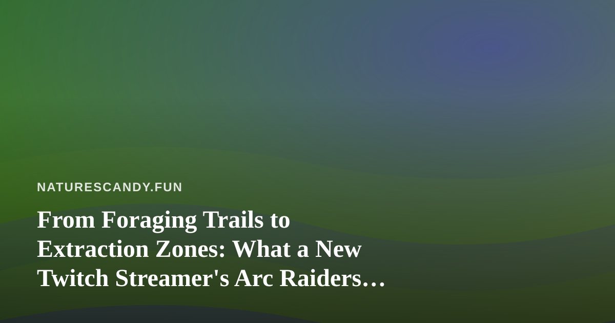 From Foraging Trails to Extraction Zones: What a New Twitch Streamer’s Arc Raiders Runs Teach Us About Reading the Land